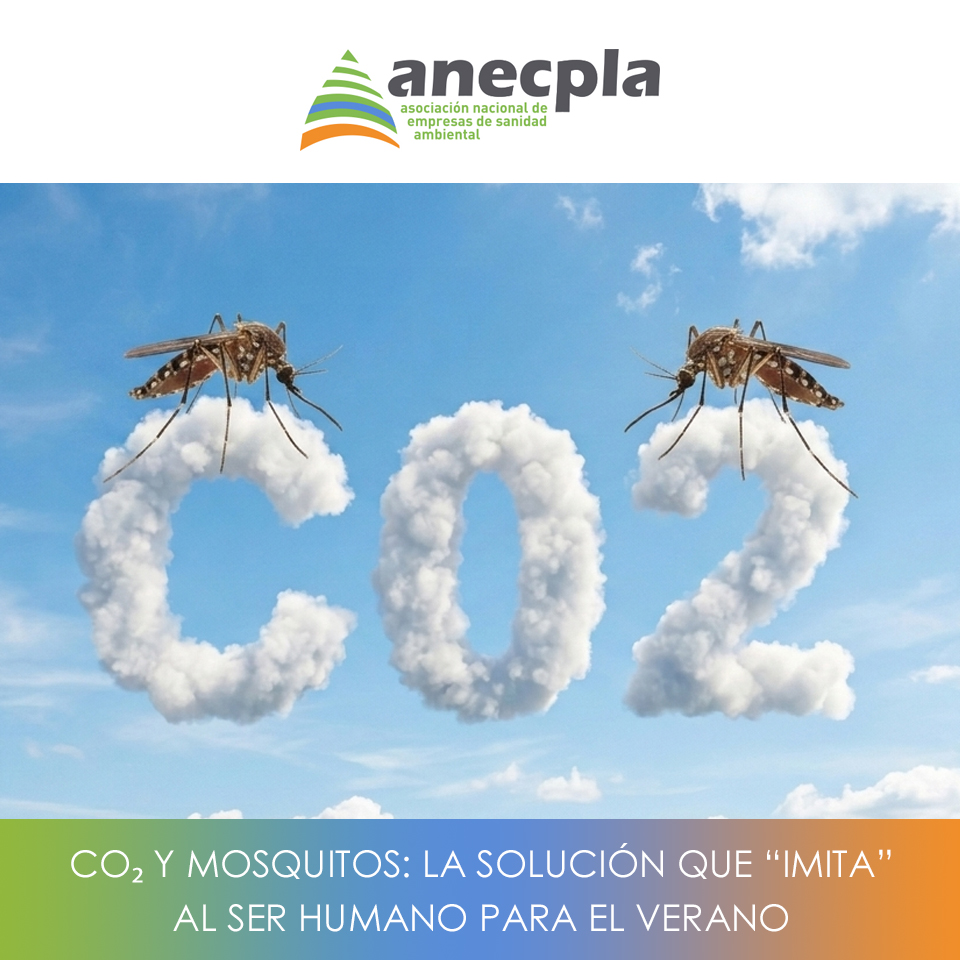 logo Anecpla