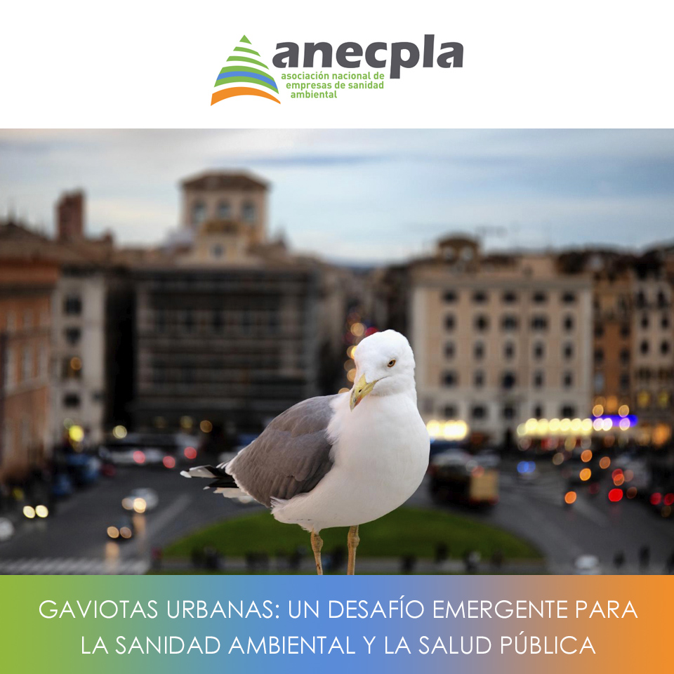 logo Anecpla