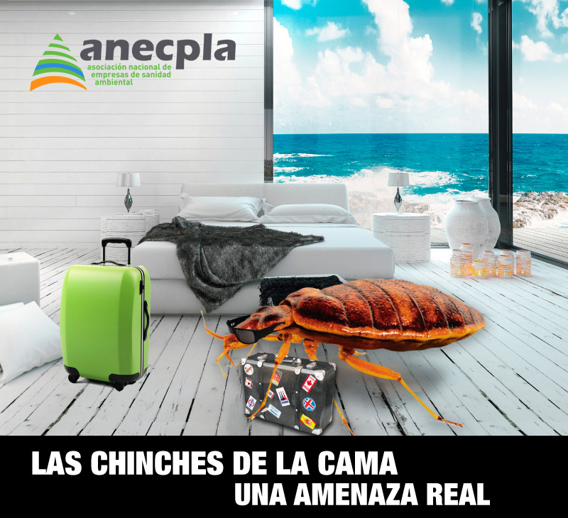 logo Anecpla